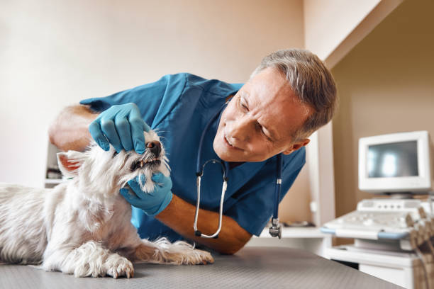 Best Pediatric Emergency Dentist in Skiato, OK